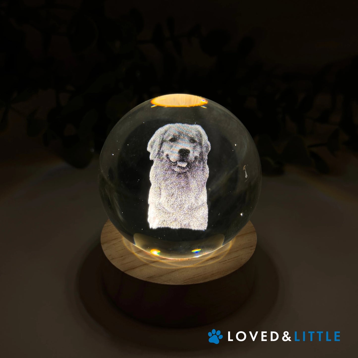 Forever Orb