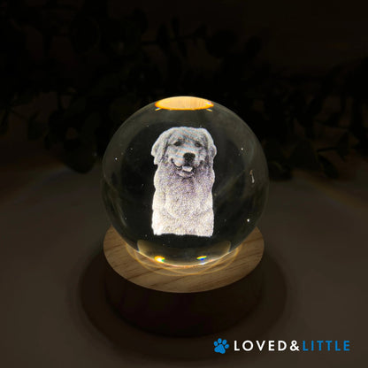 Forever Orb